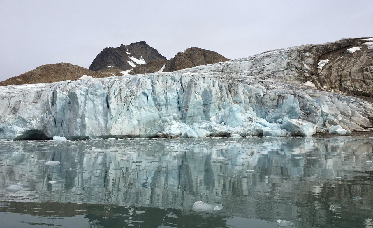 A hopeful discovery: Giant viruses on Greenland's ice may slow global warming