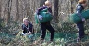 Na ratunek płazom - założyli zapory w trosce o płazy na trasie Brwilno-Wyszyna
