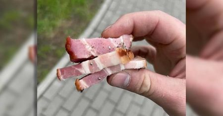 Kto chce zabić czworonogi? Kawałki boczku z gwoździami znalezione na trawniku