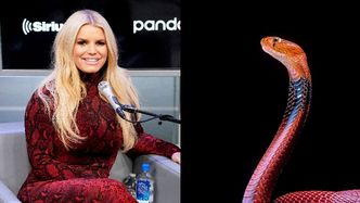 Jessica Simpson o swój głos dba, pijąc chiński eliksir z NASIENIEM WĘŻA: "To jest trochę jak miód"