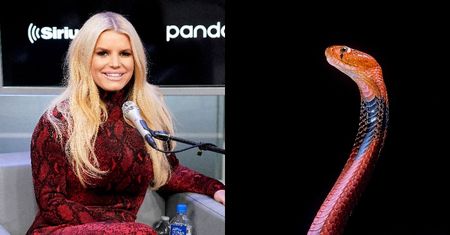 Jessica Simpson o swój głos dba, pijąc chiński eliksir z NASIENIEM WĘŻA: "To jest trochę jak miód"