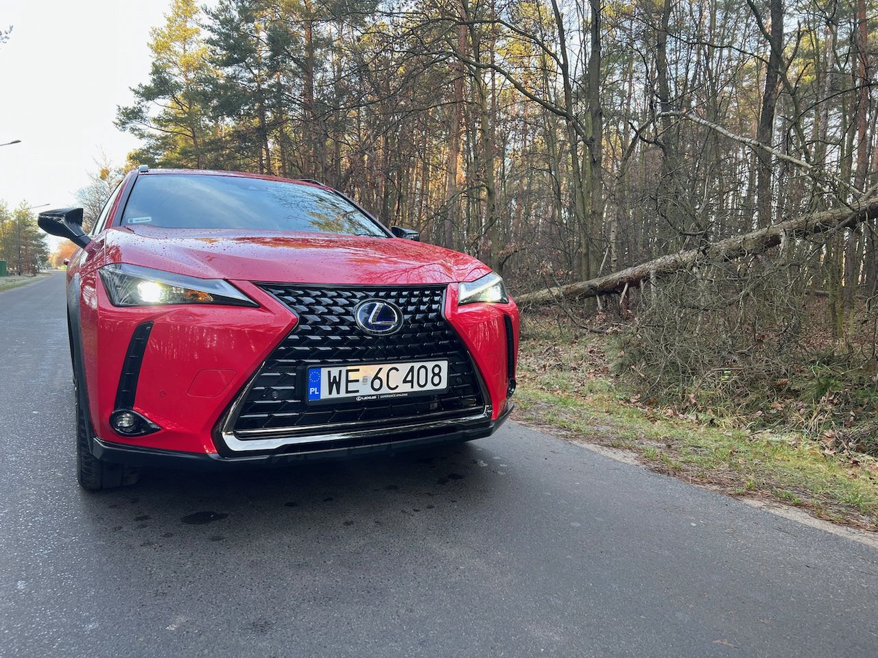 Lexus UX 250 h