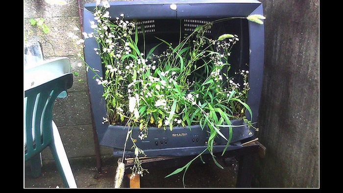 TOP 10 demotywatorów dla HDTVmaniaków 1