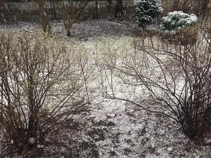 Śnieg w Warszawie. Stara Ochota i Ursynów 