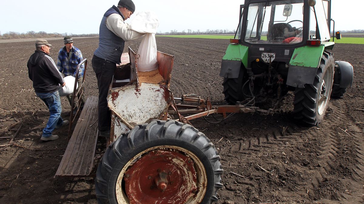 Rolnicy pracujący na polu w okolicach Dniepropietrowska. Polscy rolnicy będą mogli dzierżawić ziemię w Ukrainie