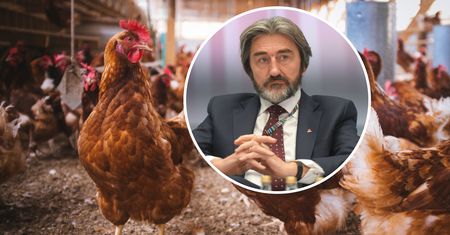 Polski gigant trafi do funduszu z Zatoki Perskiej? Waży się przyszłość firmy