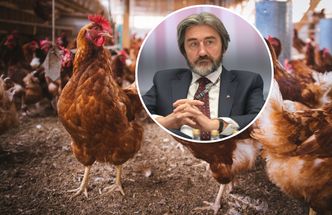 Polski gigant trafi do funduszu z Zatoki Perskiej? Waży się przyszłość firmy