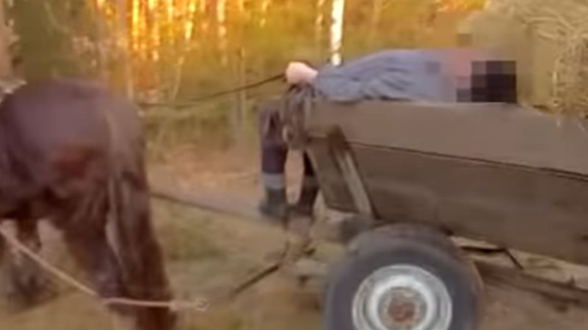 Woźnica był pijany. Zdj. ilustracyjne 