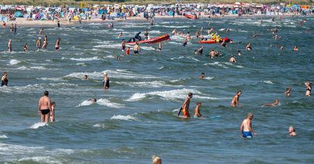 "Ataki" meduz nad Bałtykiem. Ponad 200 poparzonych