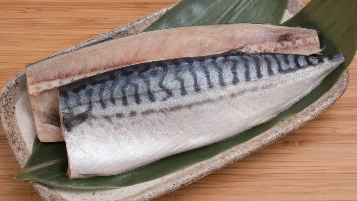 Makrela atlantycka zawiera najwyższe ilości kwasów omega-3