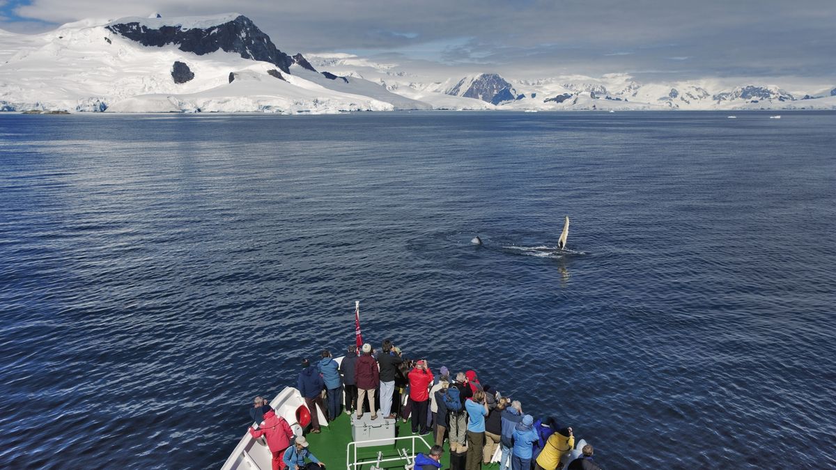 Coraz więcej turystów odwiedza Antarktydę 