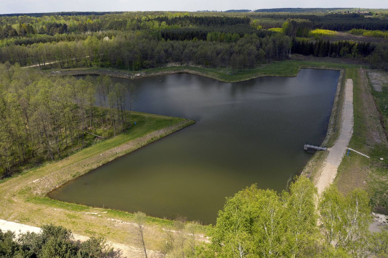 Zbiornik retencyjny w lesie k. Górna w Nadleśnictwie Głogów Małopolski