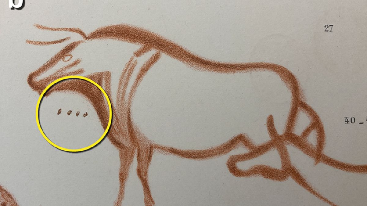 Archeolog-amator pomógł wyjaśnić tajemnicę sprzed 20 tys. lat