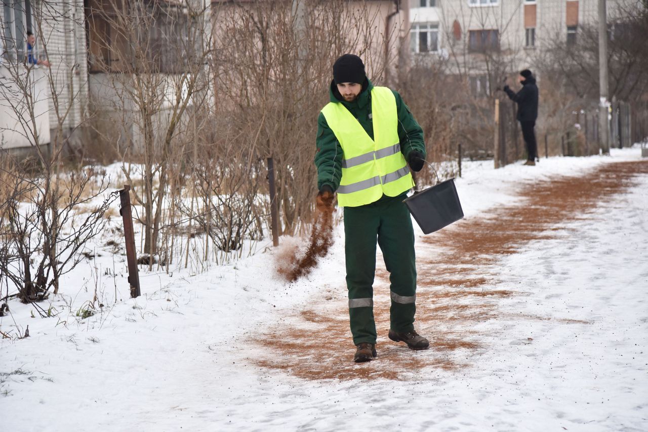 Sypanie chodników fusami z kawy. Lwów.