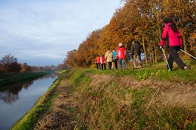 Dlaczego warto uprawiać nordic walking? 