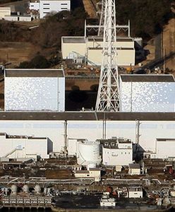 To koniec elektrowni Fukushima; "nie będzie już używana"