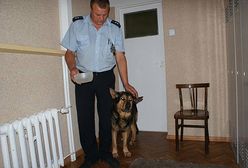 Pies sam zgłosił swoje zaginięcie