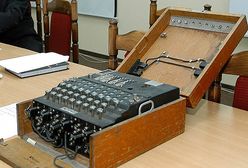 Szczątki kryptologa, który złamał Enigmę, wróciły do Polski