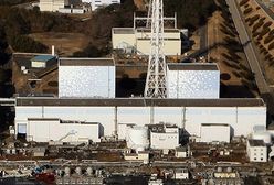 To koniec elektrowni Fukushima; "nie będzie już używana"