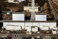 To koniec elektrowni Fukushima; "nie będzie już używana"