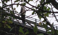 "Arktyczna Autostrada" już otwarta