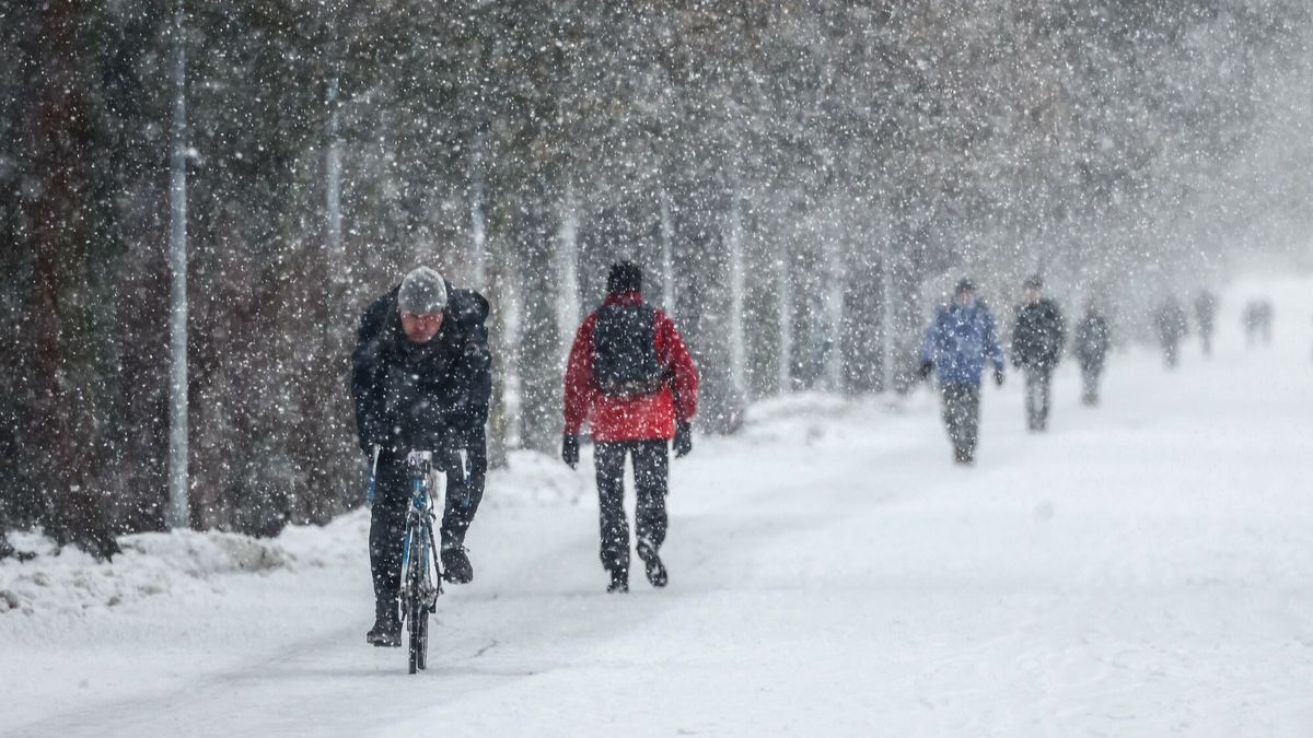 Bia?a zima wraca do Polski
16.01.2024 Krakow Sniezyca na krakowskich bloniachfot. Beata Zawrzel/REPORTER
Beata Zawrzel/REPORTER