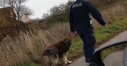 Trzebnica: Pies bronił pijanego właściciela. Pomógł spryt policjanta