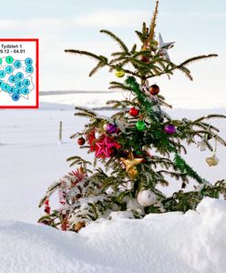 Czy zima zdąży na Boże Narodzenie? Nowa prognoza pogody