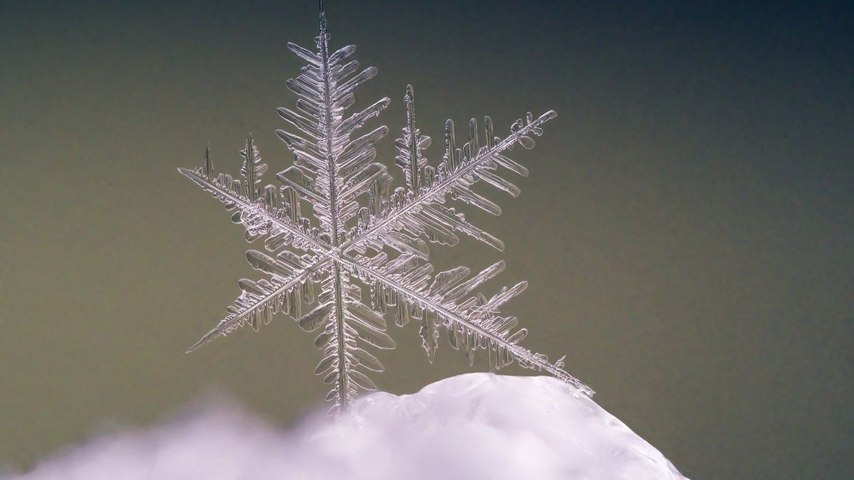Płatki śniegu są nie tylko urocze, ale też geometryczne!