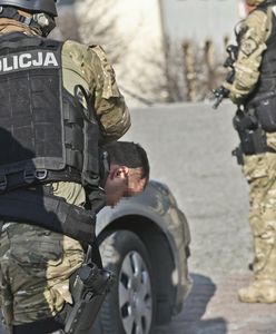 Pseudokibice pod wpływem Rosjan? "Groźniejsi niż Pruszków i Wołomin"