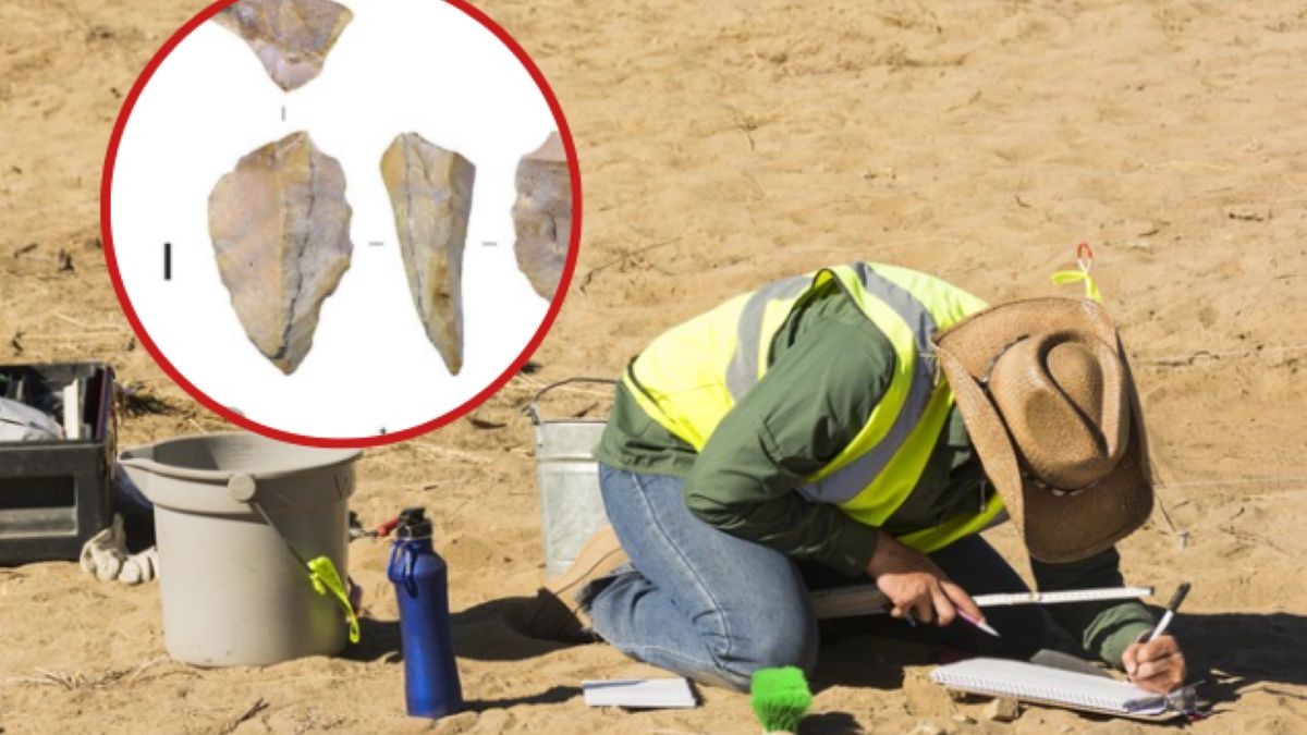 Znaleźli narzędzia sprzed miliona lat