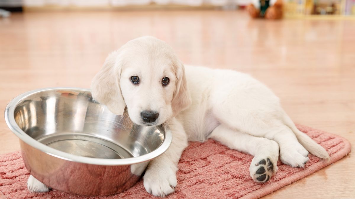 Źródło: Depositphotos