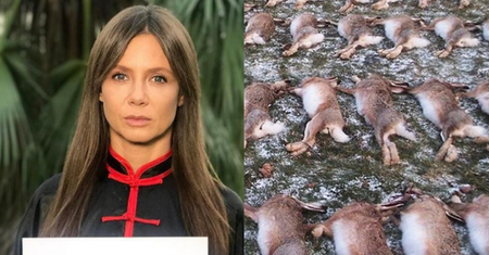 Rusin nie poddaje się w walce z myśliwymi: "Szyszko nadal niszczy polskie środowisko!"