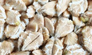 O niebo lepsze niż owsiane, a my omijamy je w sklepie. Mają o wiele więcej błonnika