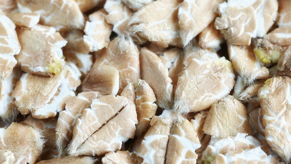 Płatki orkiszowe powinny na stałe pojawić się w twojej diecie