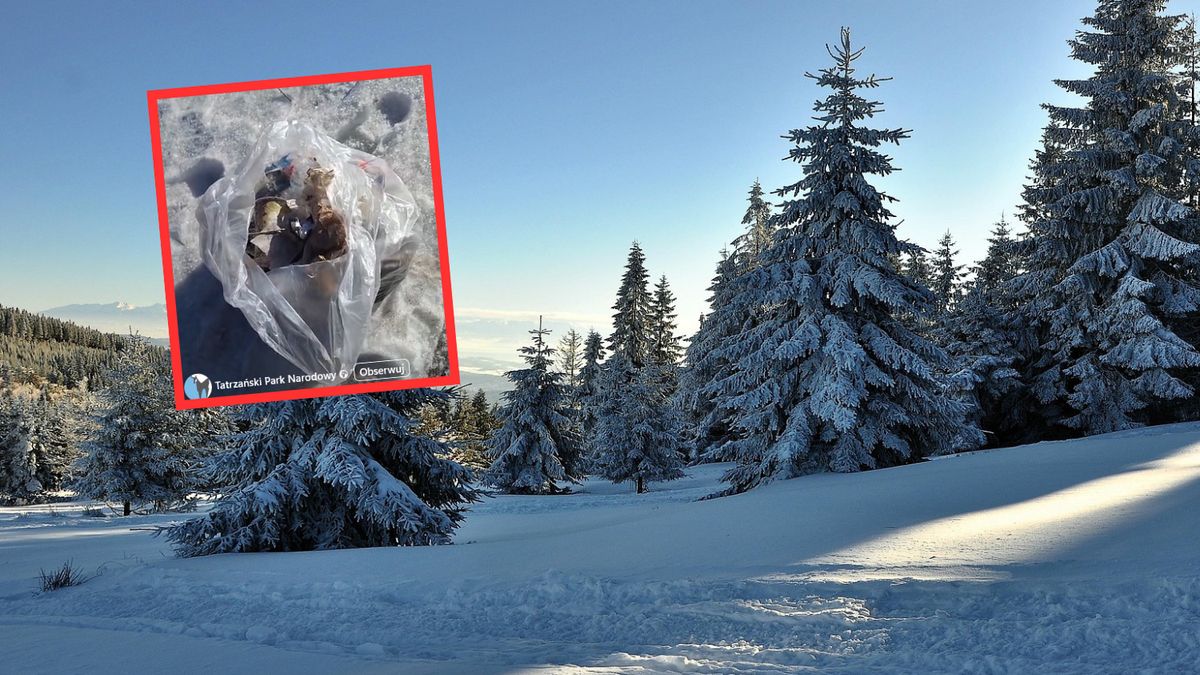 Szok w Tatrach. Tyle śmieci zostawili turyści 