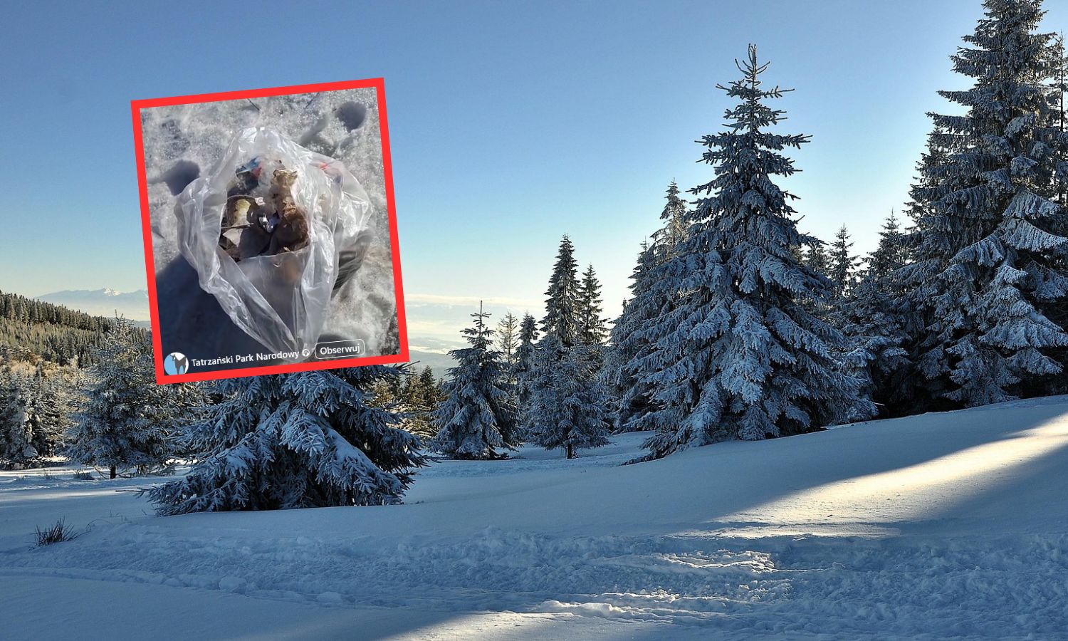 Pokazał, co znalazł w górach. Skandaliczne zachowanie turystów