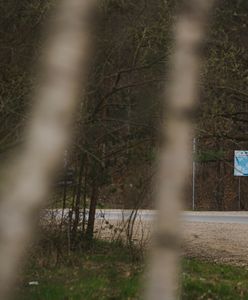 Ojciec porzucił dzieci w lesie. Chciał "wyciągnąć od nich informacje"