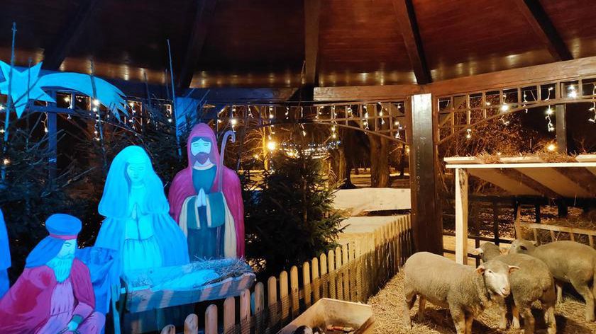Szopka ustawiona przez Urząd Miasta w Łęczycy (Fot. UM w Łęczycy)