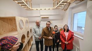 Nowa kociarnia w Zielonej Górze. Koty w schronisku już nie w króliczych klatkach