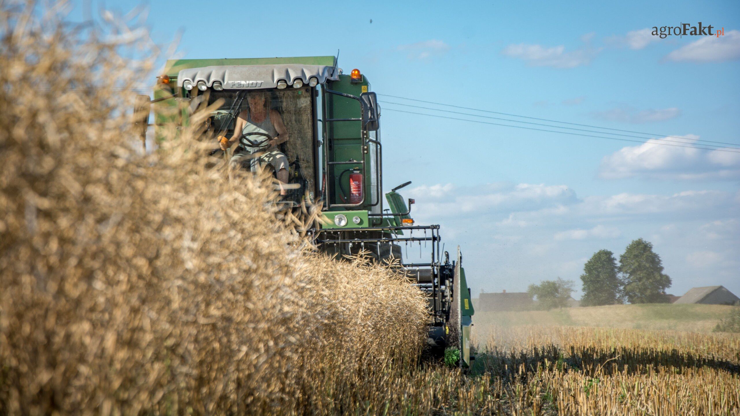 Mazowsze lipiec 2019, kobmain Fendt