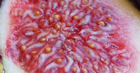 Wciąż mało popularne. Mają dużo błonnika, obniżają ciśnienie i wyrównują żelazo