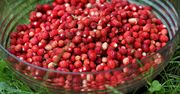 "Smak dzieciństwa i luksusu". Tyle kosztują poziomki w tym sezonie