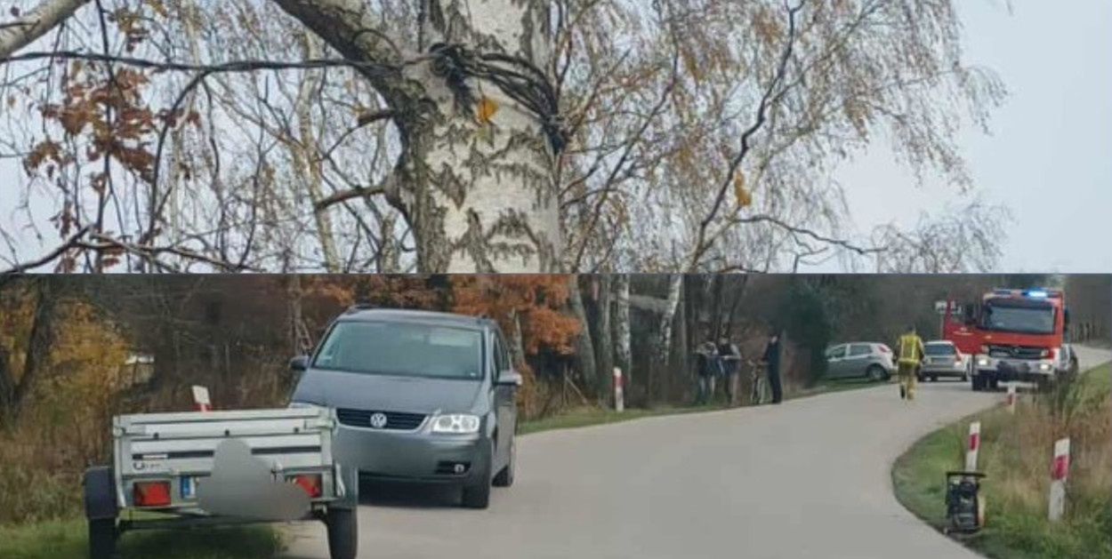 Ciepielew: Wypadek podczas wycinki drzewa. Dwaj mężczyźni w szpitalu