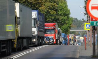 Powtórka z Rospudy? "To będzie rzeź". Szykuje się wojna o drogę