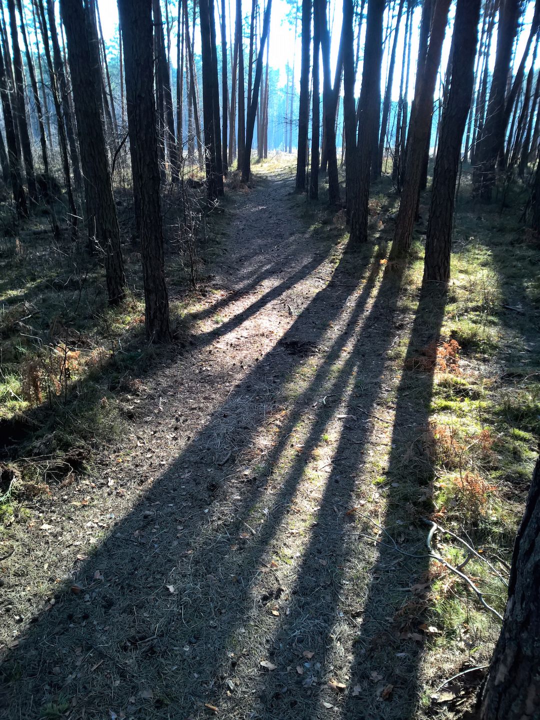 Lumia 930 - test fotograficzny 12