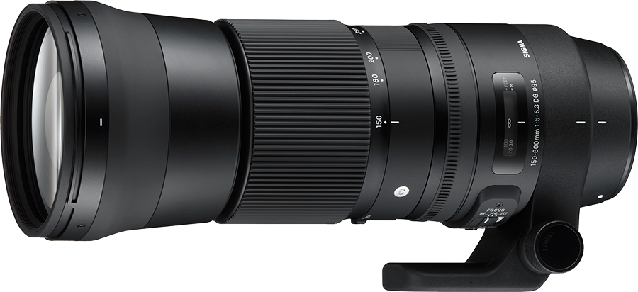 Sigma 150-600mm F5-6.3 DG OS HSM | C