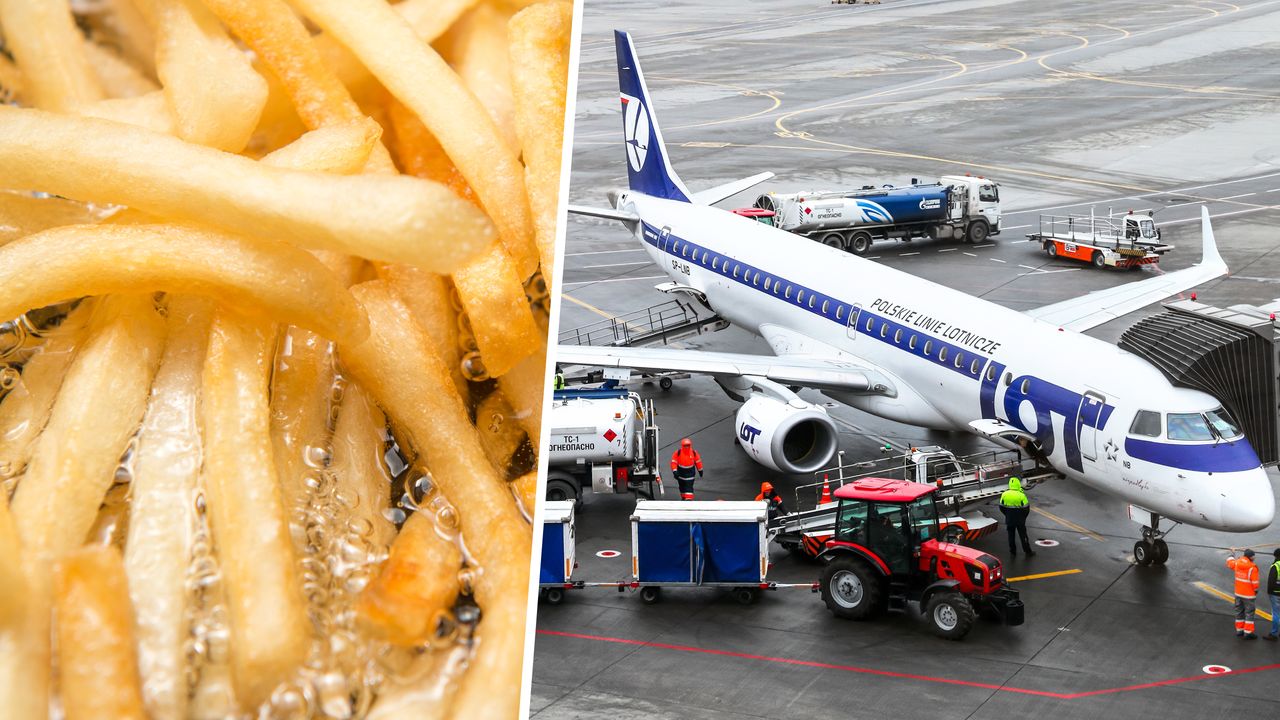 Unia chce samolotów na zużyty olej do smażenia frytek. "Z perspektywy technologii? Nie ma przeszkód"