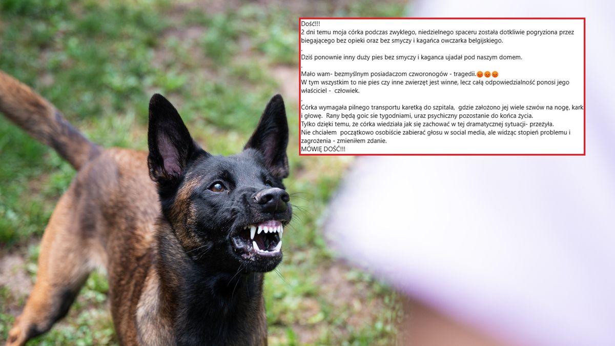Agresywny pies pogryzł nastolatkę. Jej ojciec zabrał głos