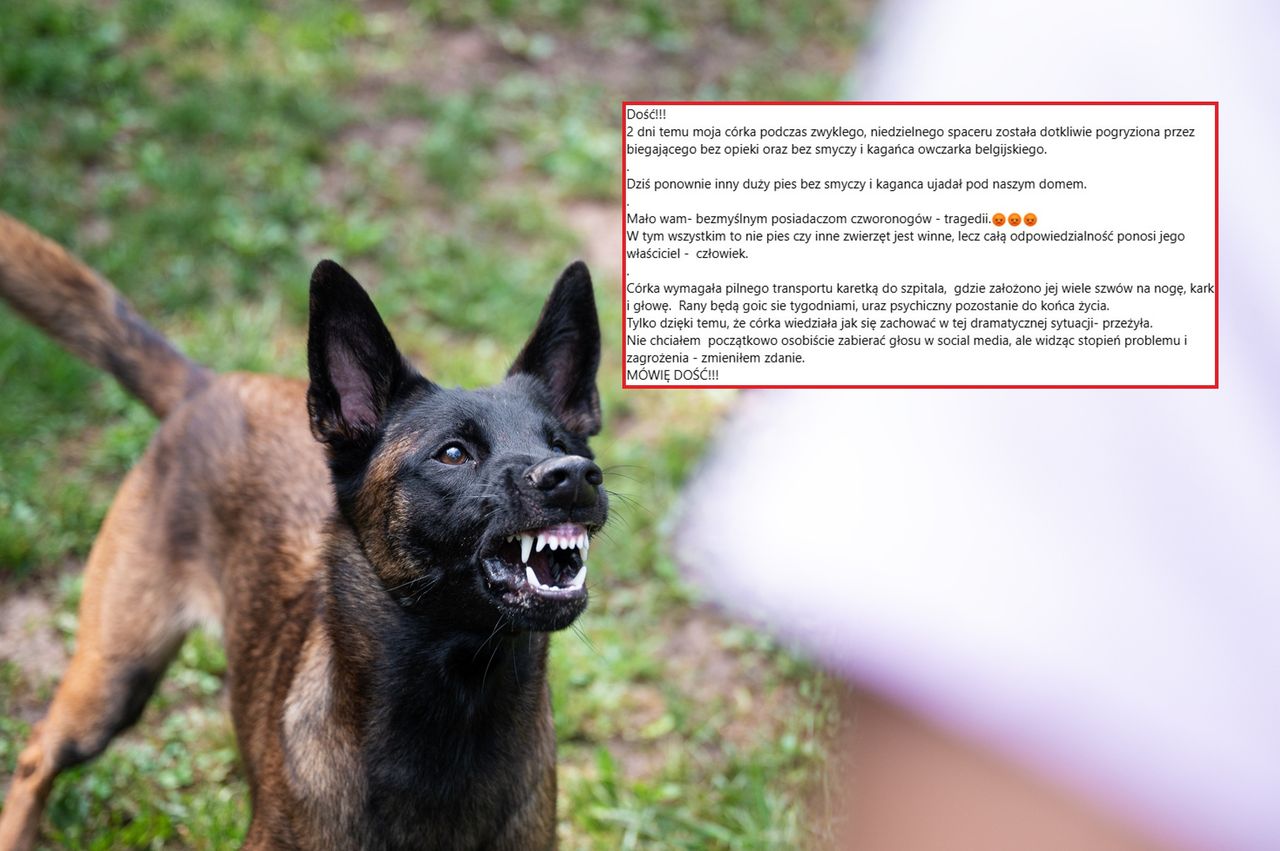 Agresywny pies pogryzł nastolatkę. Dramatyczne wyznanie jej ojca